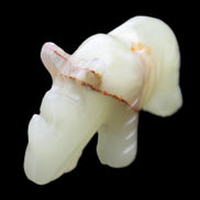 Afghan Jade hand-carved Rhino 105*30*64mm 250g in sunlight - Rocks and Things Store