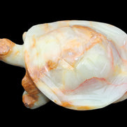 Afghan Jade hand-carved Turtle 105*78*41mm 314g in sunlight - Rocks and Things Store
