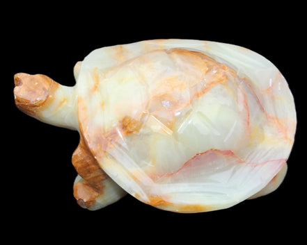 Afghan Jade hand-carved Turtle 105*78*41mm 314g in sunlight - Rocks and Things Store