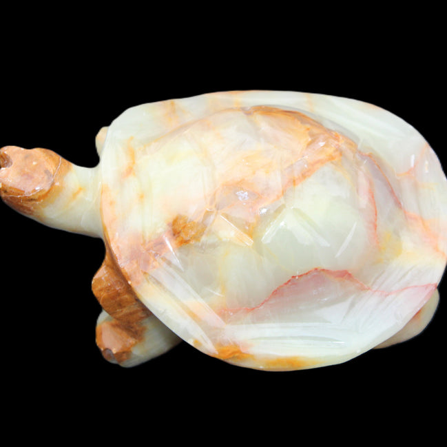 Afghan Jade hand-carved Turtle 105*78*41mm 314g in sunlight - Rocks and Things Store