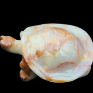 Afghan Jade hand-carved Turtle 105*78*41mm 314g in sunlight - Rocks and Things Store