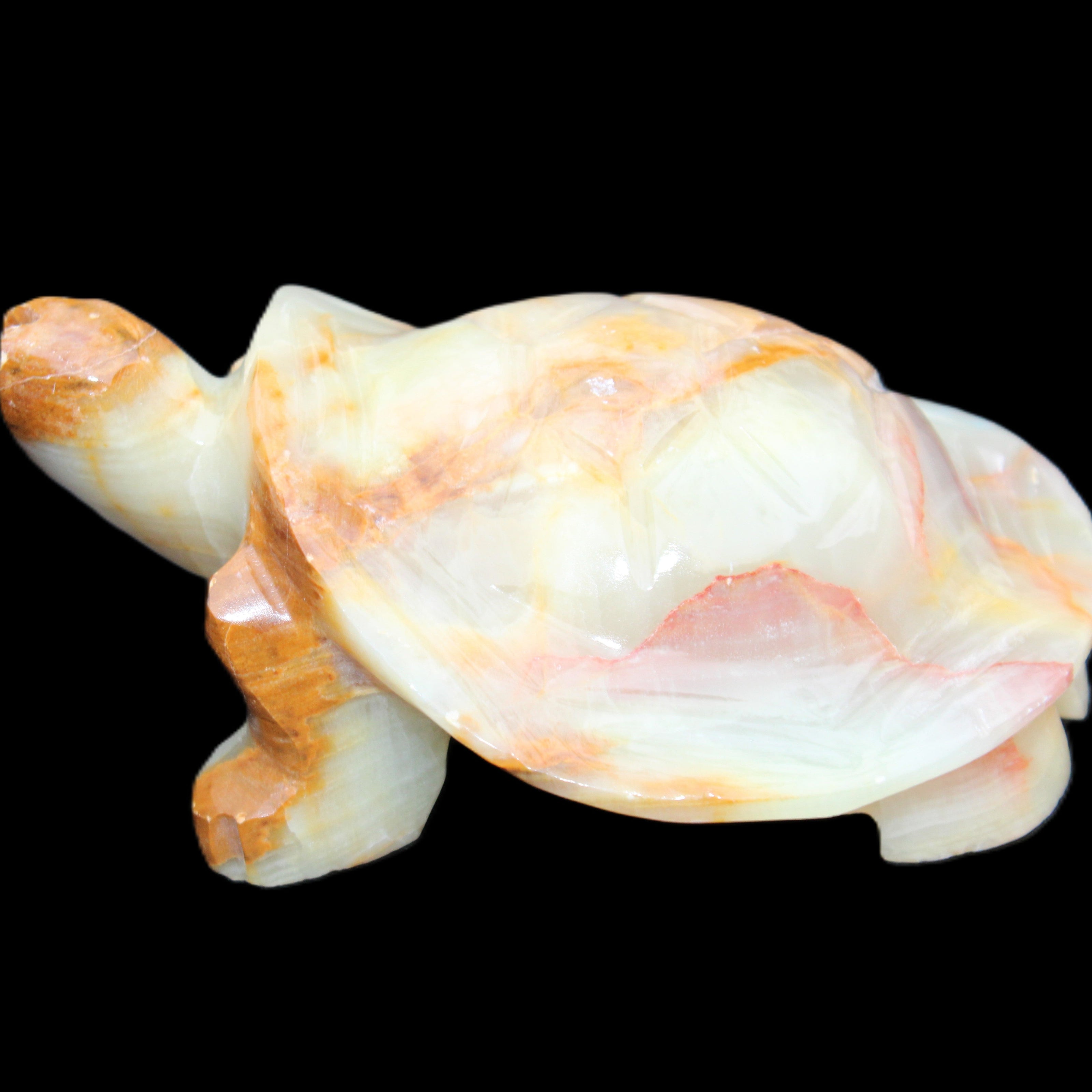 Afghan Jade hand-carved Turtle 105*78*41mm 314g in sunlight - Rocks and Things Store