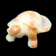 Afghan Jade hand-carved Turtle 105*78*41mm 314g in sunlight - Rocks and Things Store