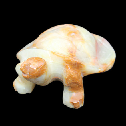 Afghan Jade hand-carved Turtle 105*78*41mm 314g in sunlight - Rocks and Things Store