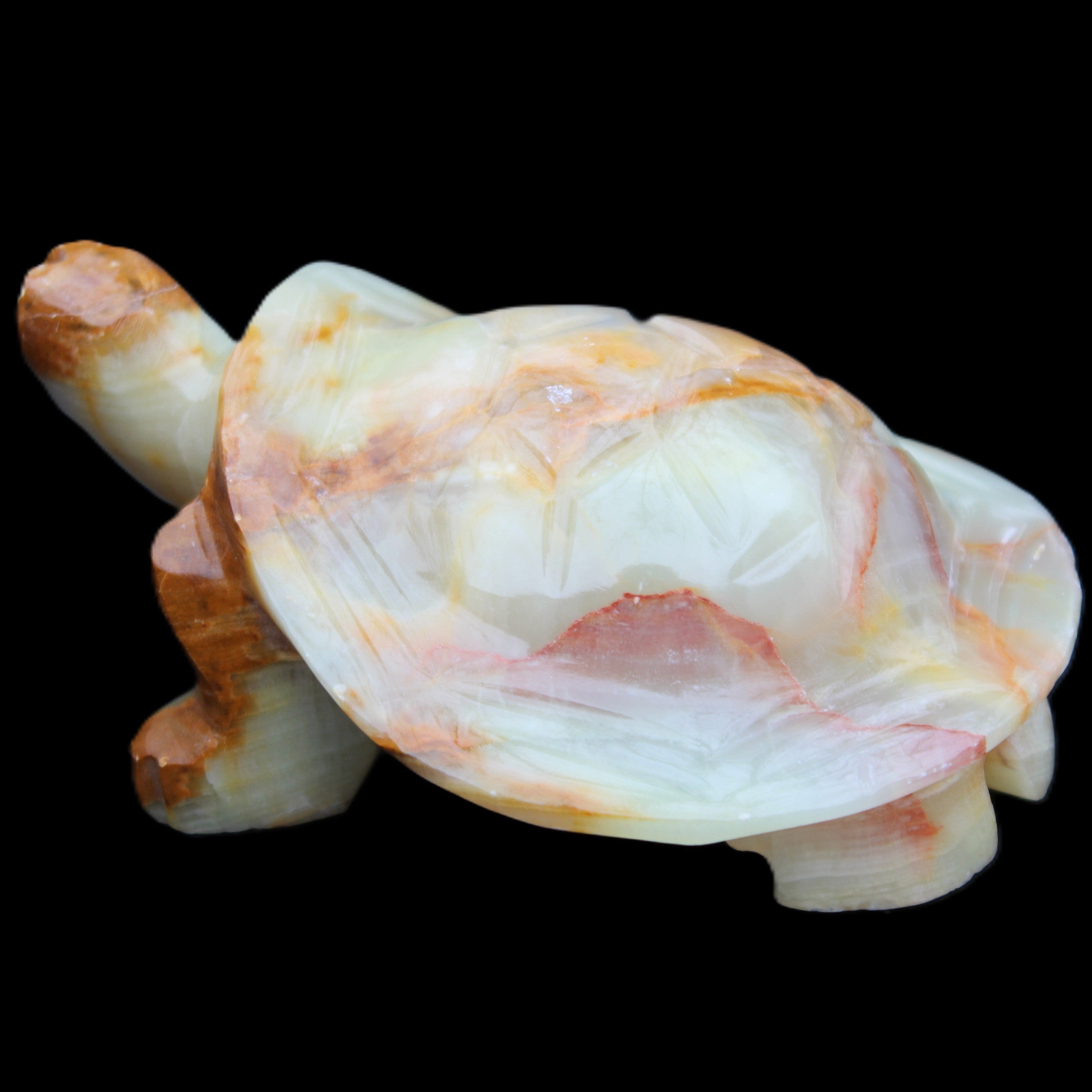 Afghan Jade hand-carved Turtle 105*78*41mm 314g in sunlight - Rocks and Things Store