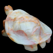 Afghan Jade hand-carved Turtle 105*78*41mm 314g in sunlight - Rocks and Things Store