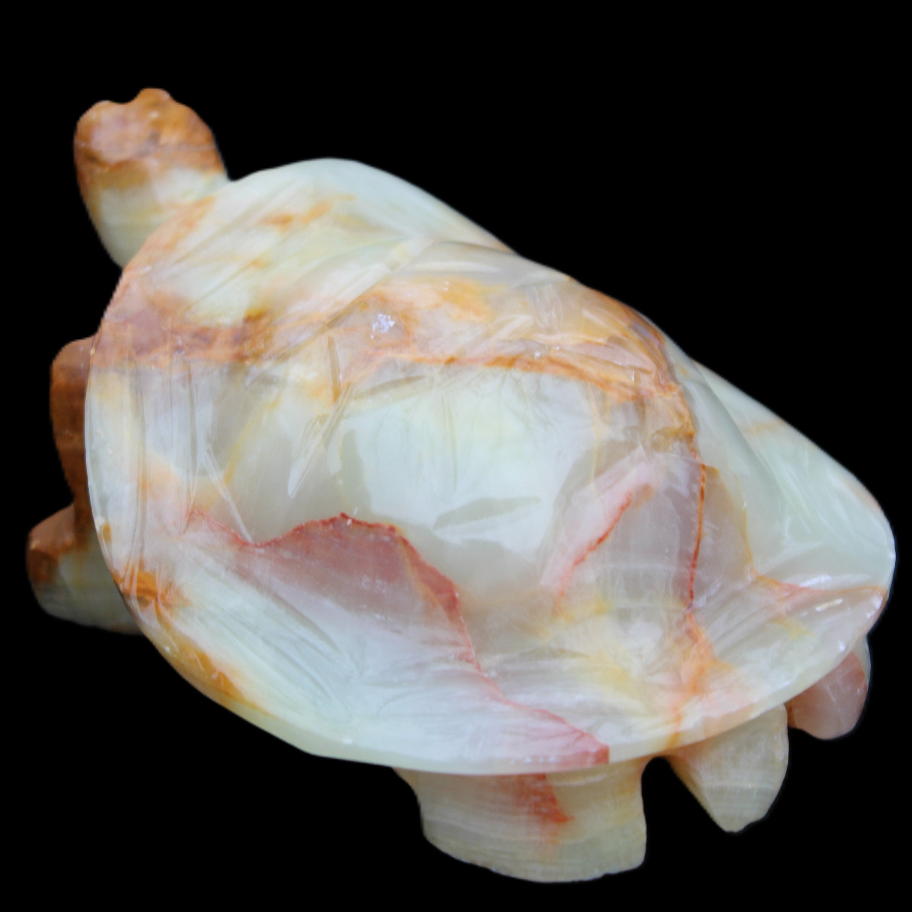 Afghan Jade hand-carved Turtle 105*78*41mm 314g in sunlight - Rocks and Things Store