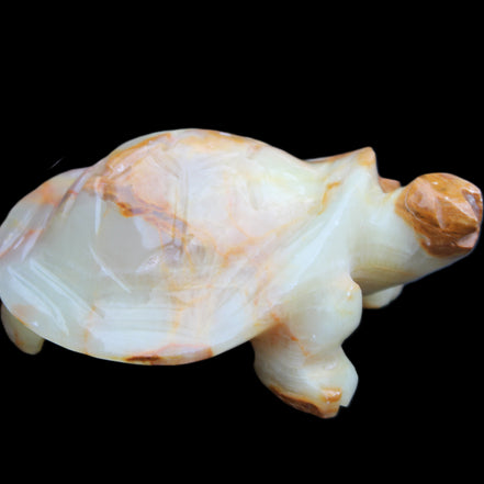 Afghan Jade hand-carved Turtle 105*78*41mm 314g in sunlight - Rocks and Things Store