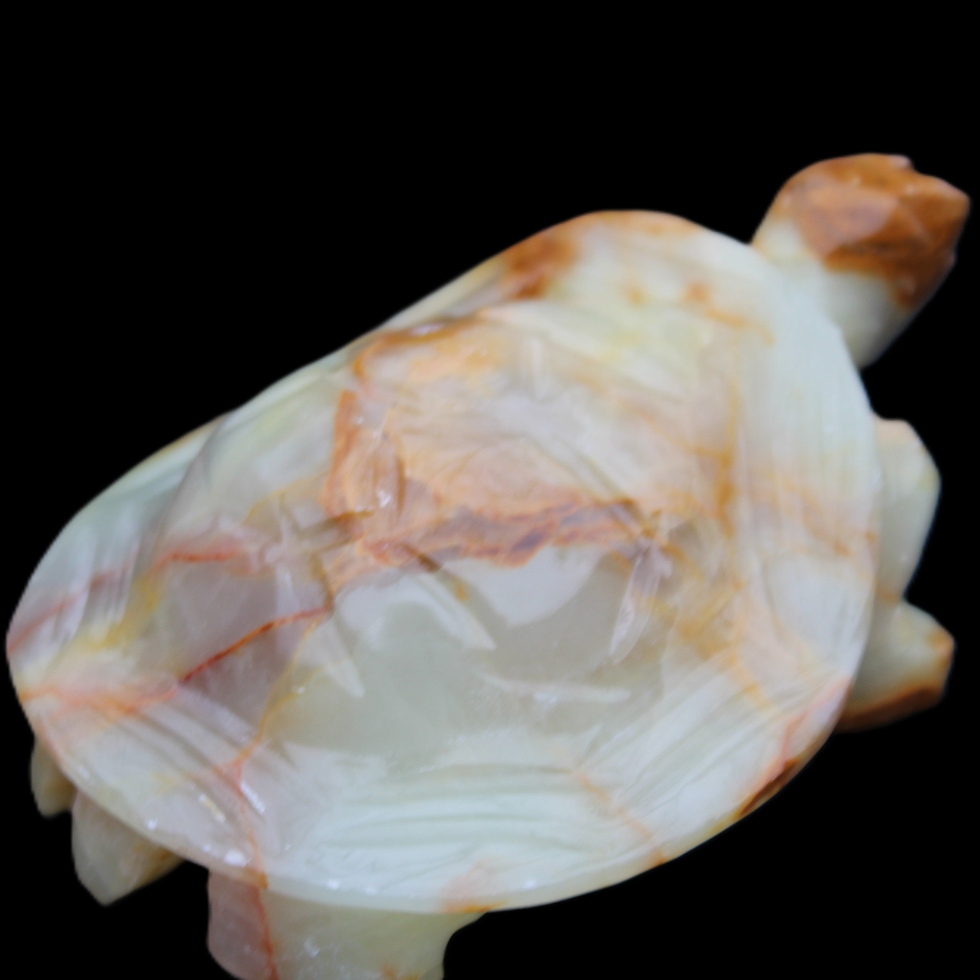 Afghan Jade hand-carved Turtle 105*78*41mm 314g in sunlight - Rocks and Things Store