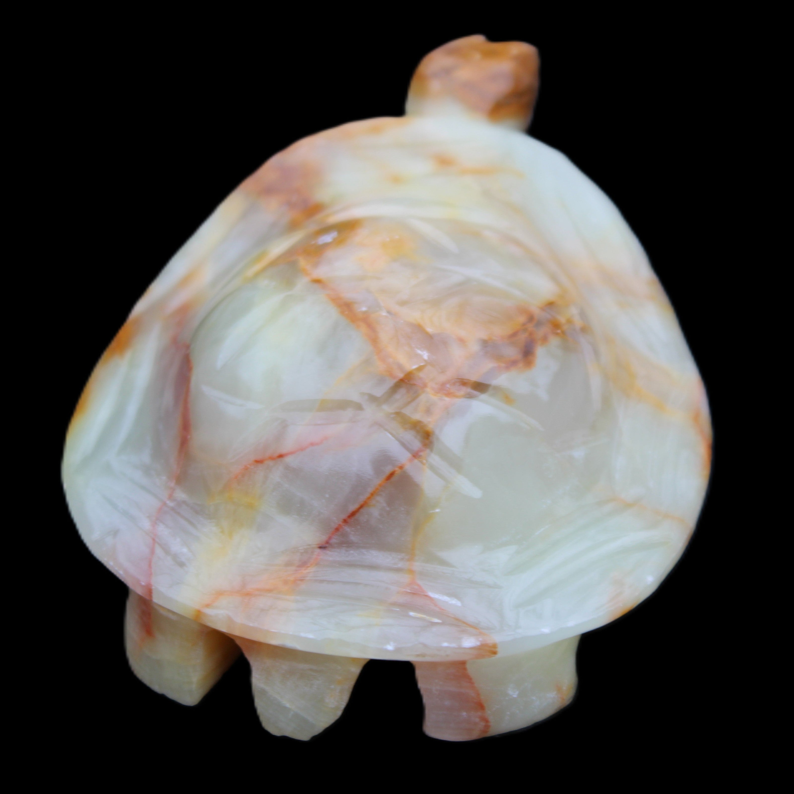 Afghan Jade hand-carved Turtle 105*78*41mm 314g in sunlight - Rocks and Things Store