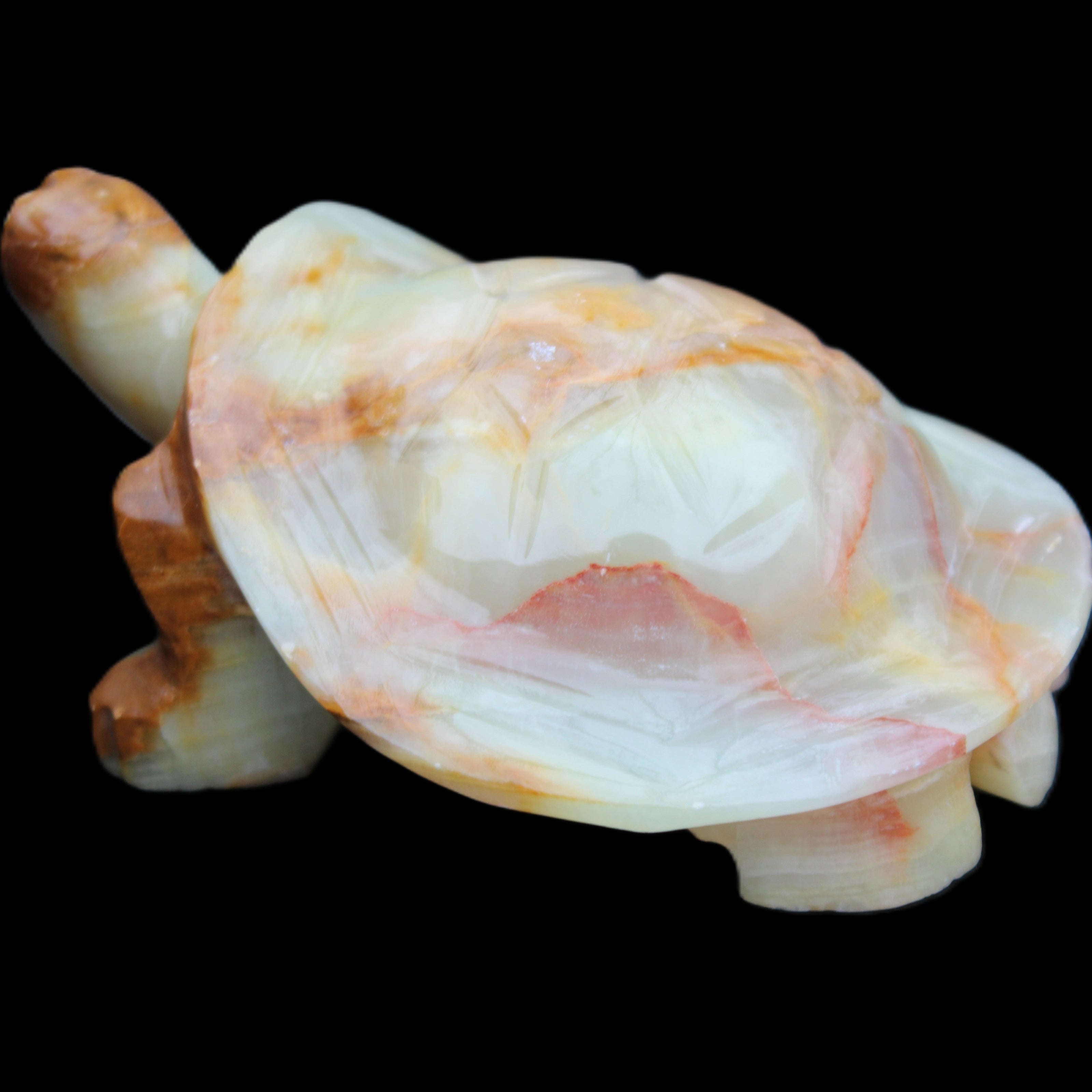 Afghan Jade hand-carved Turtle 105*78*41mm 314g in sunlight - Rocks and Things Store