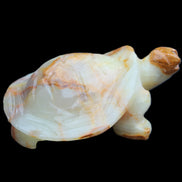 Afghan Jade hand-carved Turtle 105*78*41mm 314g in sunlight - Rocks and Things Store