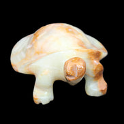 Afghan Jade hand-carved Turtle 105*78*41mm 314g in sunlight - Rocks and Things Store