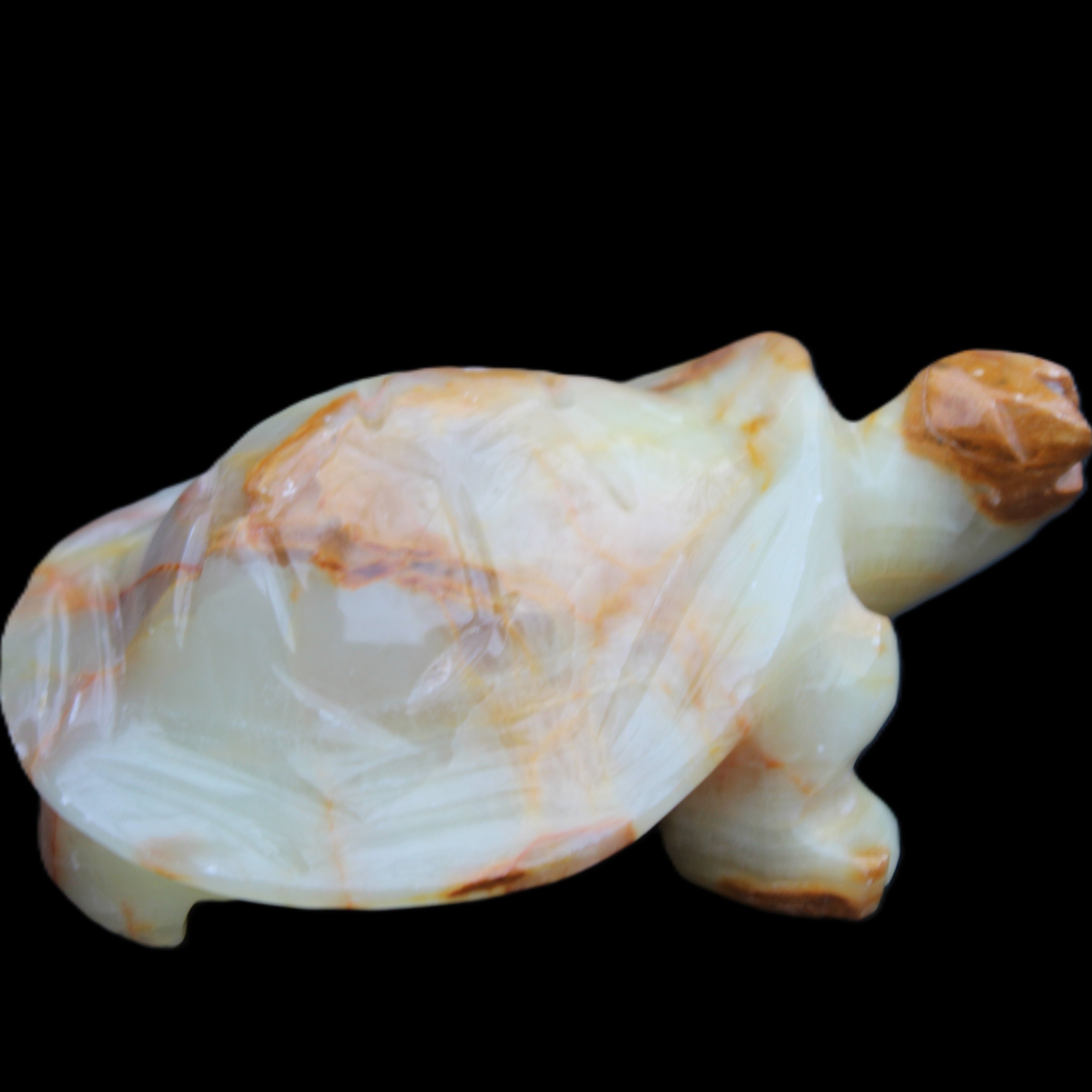 Afghan Jade hand-carved Turtle 105*78*41mm 314g in sunlight - Rocks and Things Store