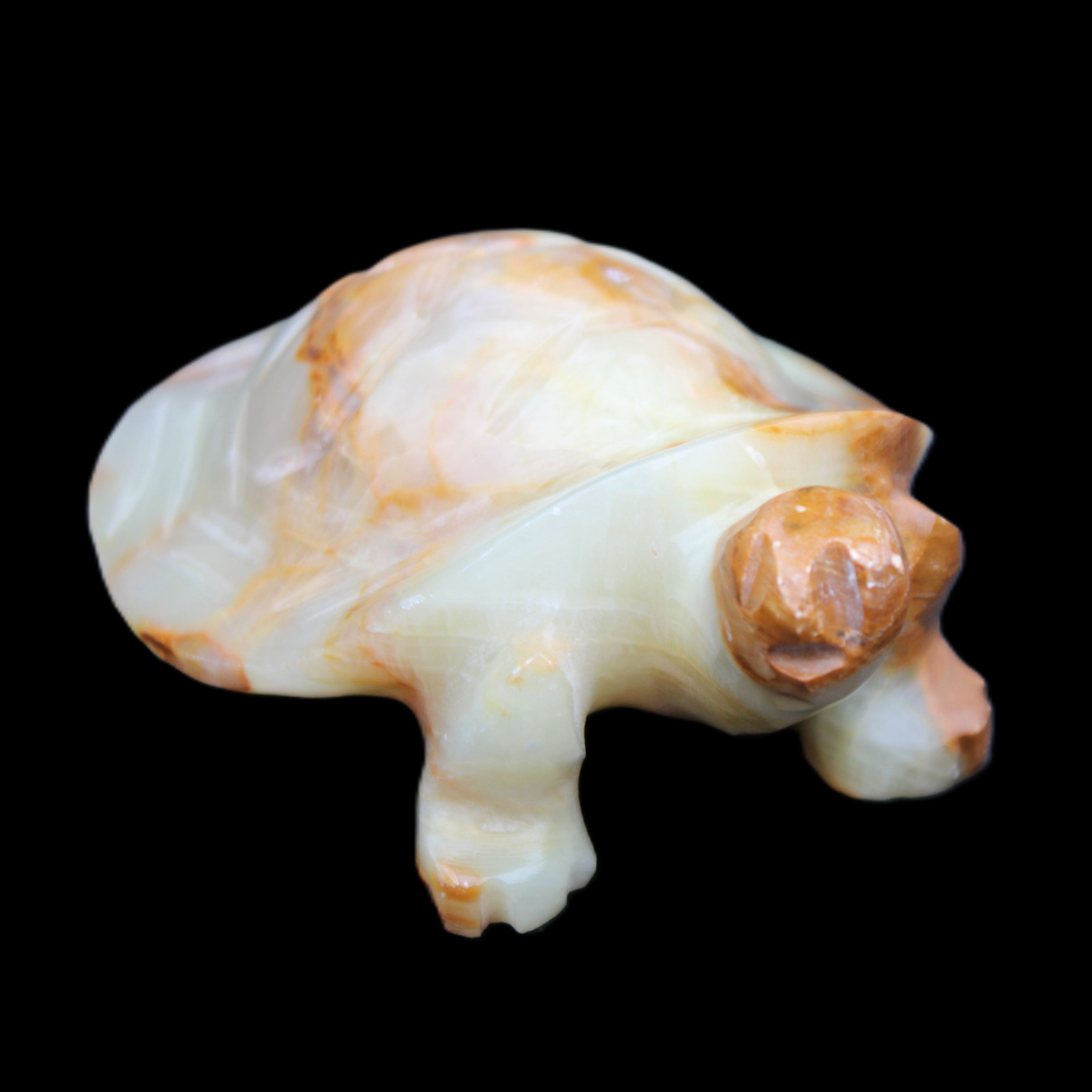 Afghan Jade hand-carved Turtle 105*78*41mm 314g in sunlight - Rocks and Things Store
