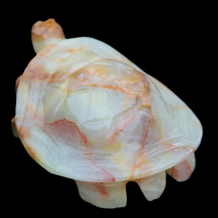 Afghan Jade hand-carved Turtle 105*78*41mm 314g in sunlight - Rocks and Things Store