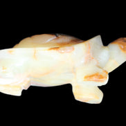 Afghan Jade hand-carved Turtle 105*78*41mm 314g in sunlight - Rocks and Things Store