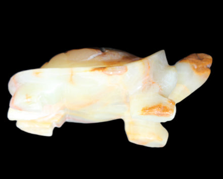 Afghan Jade hand-carved Turtle 105*78*41mm 314g in sunlight - Rocks and Things Store