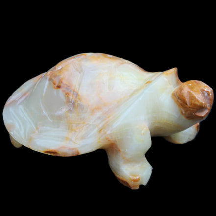 Afghan Jade hand-carved Turtle 105*78*41mm 314g in sunlight - Rocks and Things Store