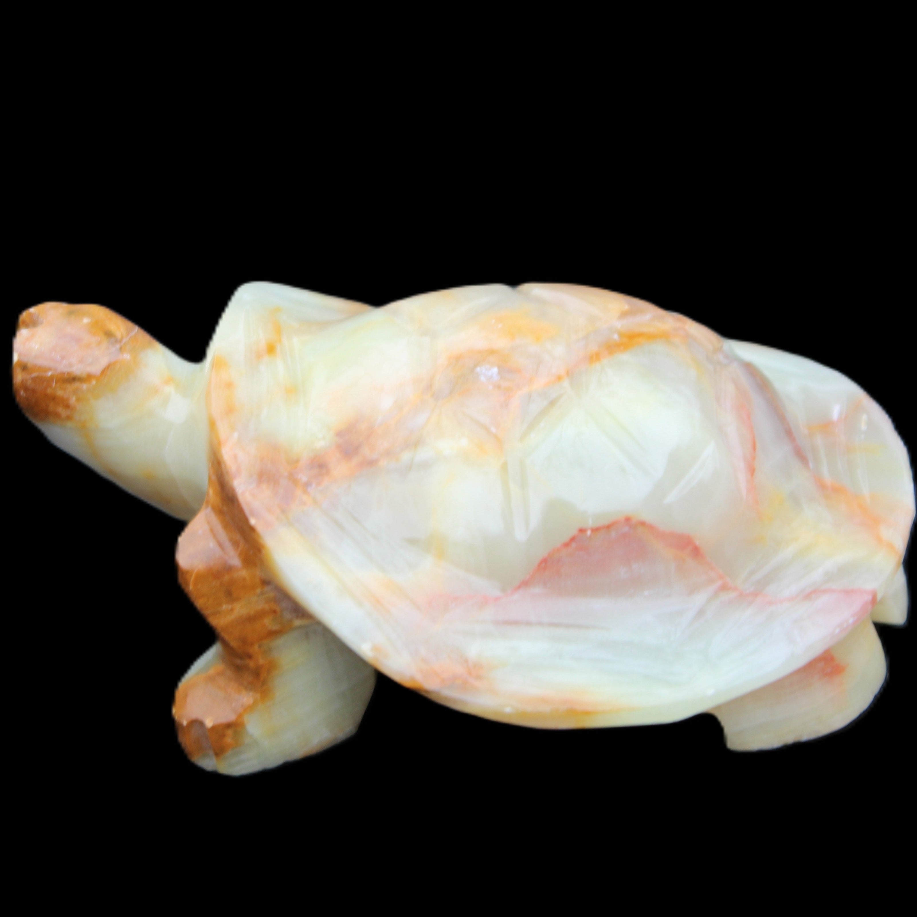 Afghan Jade hand-carved Turtle 105*78*41mm 314g in sunlight - Rocks and Things Store