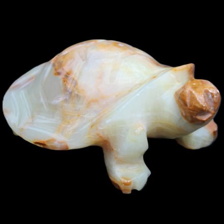 Afghan Jade hand-carved Turtle 105*78*41mm 314g in sunlight - Rocks and Things Store
