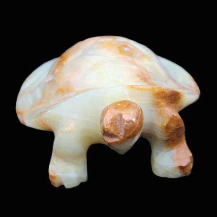 Afghan Jade hand-carved Turtle 105*78*41mm 314g in sunlight - Rocks and Things Store