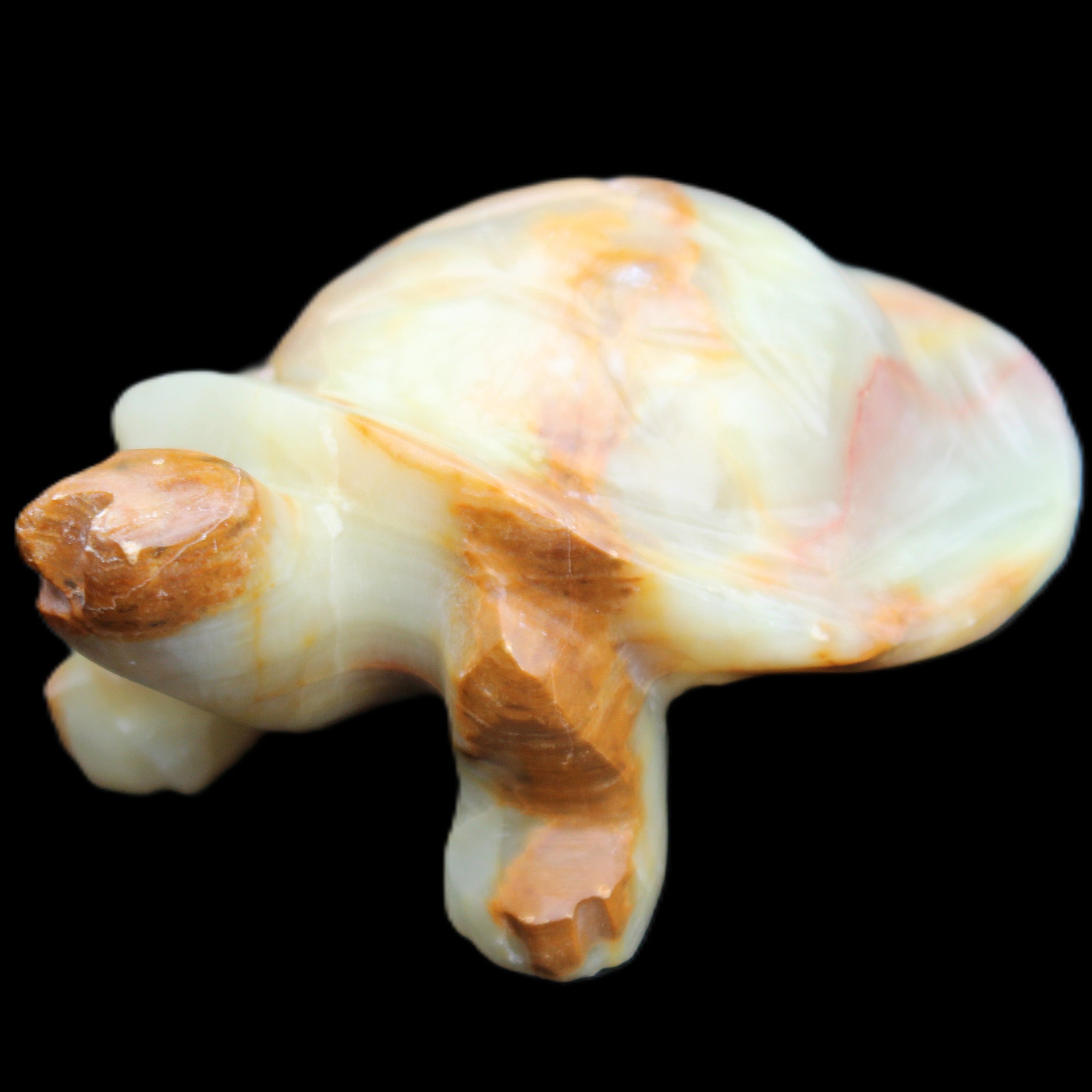 Afghan Jade hand-carved Turtle 105*78*41mm 314g in sunlight - Rocks and Things Store