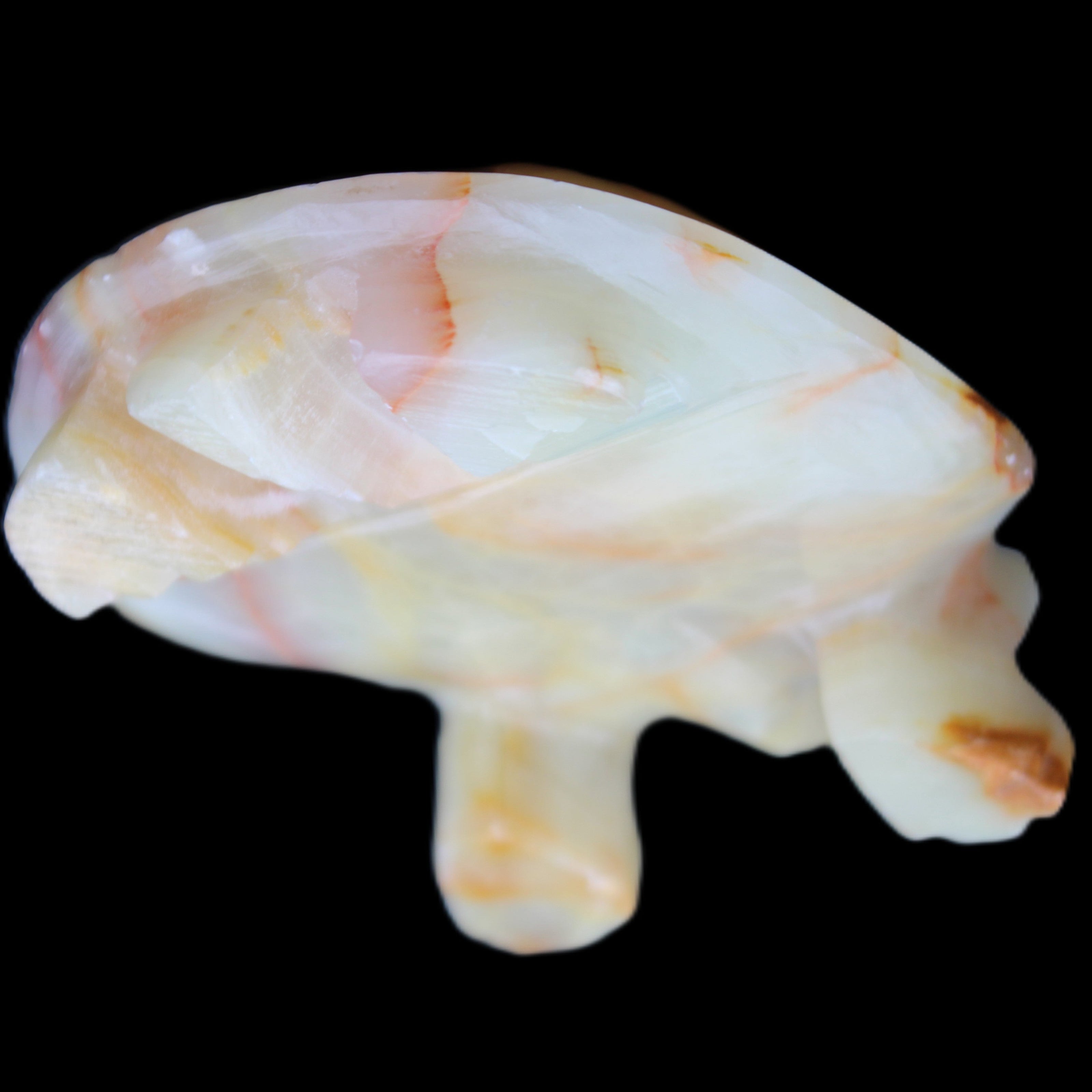 Afghan Jade hand-carved Turtle 105*78*41mm 314g in sunlight - Rocks and Things Store