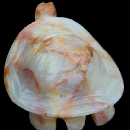 Afghan Jade hand-carved Turtle 105*78*41mm 314g in sunlight - Rocks and Things Store