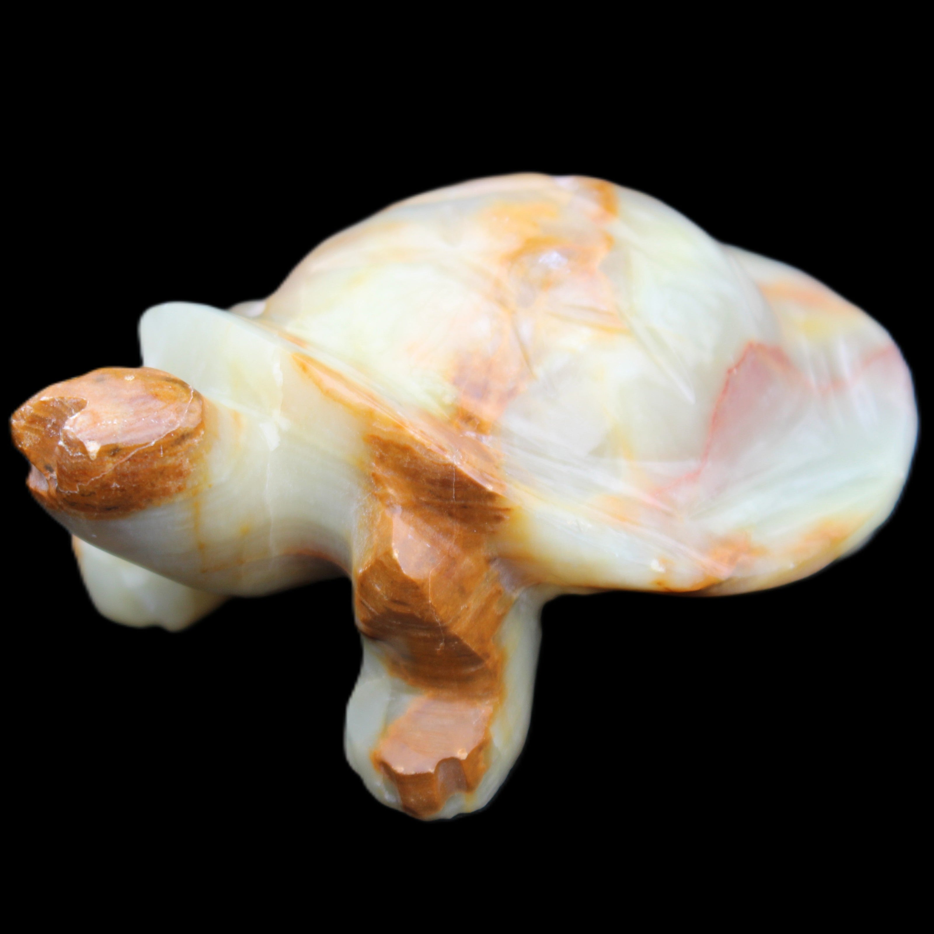 Afghan Jade hand-carved Turtle 105*78*41mm 314g in sunlight - Rocks and Things Store
