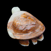 Afghan Jade hand-carved Turtle 107*80*37mm 286g in sunlight - Rocks and Things Store