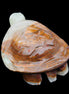 Afghan Jade hand-carved Turtle 107*80*37mm 286g in sunlight - Rocks and Things Store