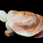 Afghan Jade hand-carved Turtle 107*80*37mm 286g in sunlight - Rocks and Things Store