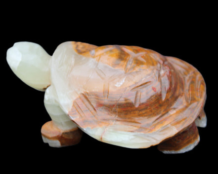 Afghan Jade hand-carved Turtle 107*80*37mm 286g in sunlight - Rocks and Things Store