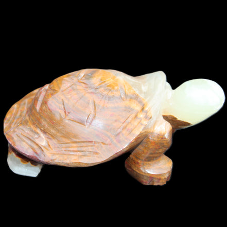Afghan Jade hand-carved Turtle 107*80*37mm 286g in sunlight - Rocks and Things Store