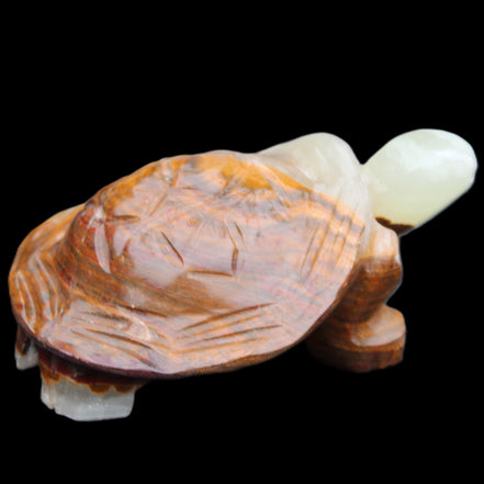 Afghan Jade hand-carved Turtle 107*80*37mm 286g in sunlight - Rocks and Things Store