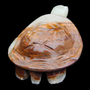 Afghan Jade hand-carved Turtle 107*80*37mm 286g in sunlight - Rocks and Things Store
