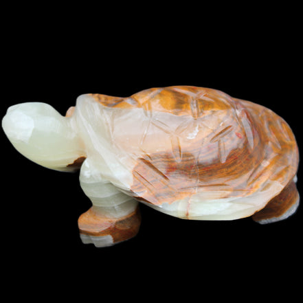 Afghan Jade hand-carved Turtle 107*80*37mm 286g in sunlight - Rocks and Things Store