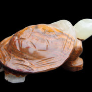 Afghan Jade hand-carved Turtle 107*80*37mm 286g in sunlight - Rocks and Things Store