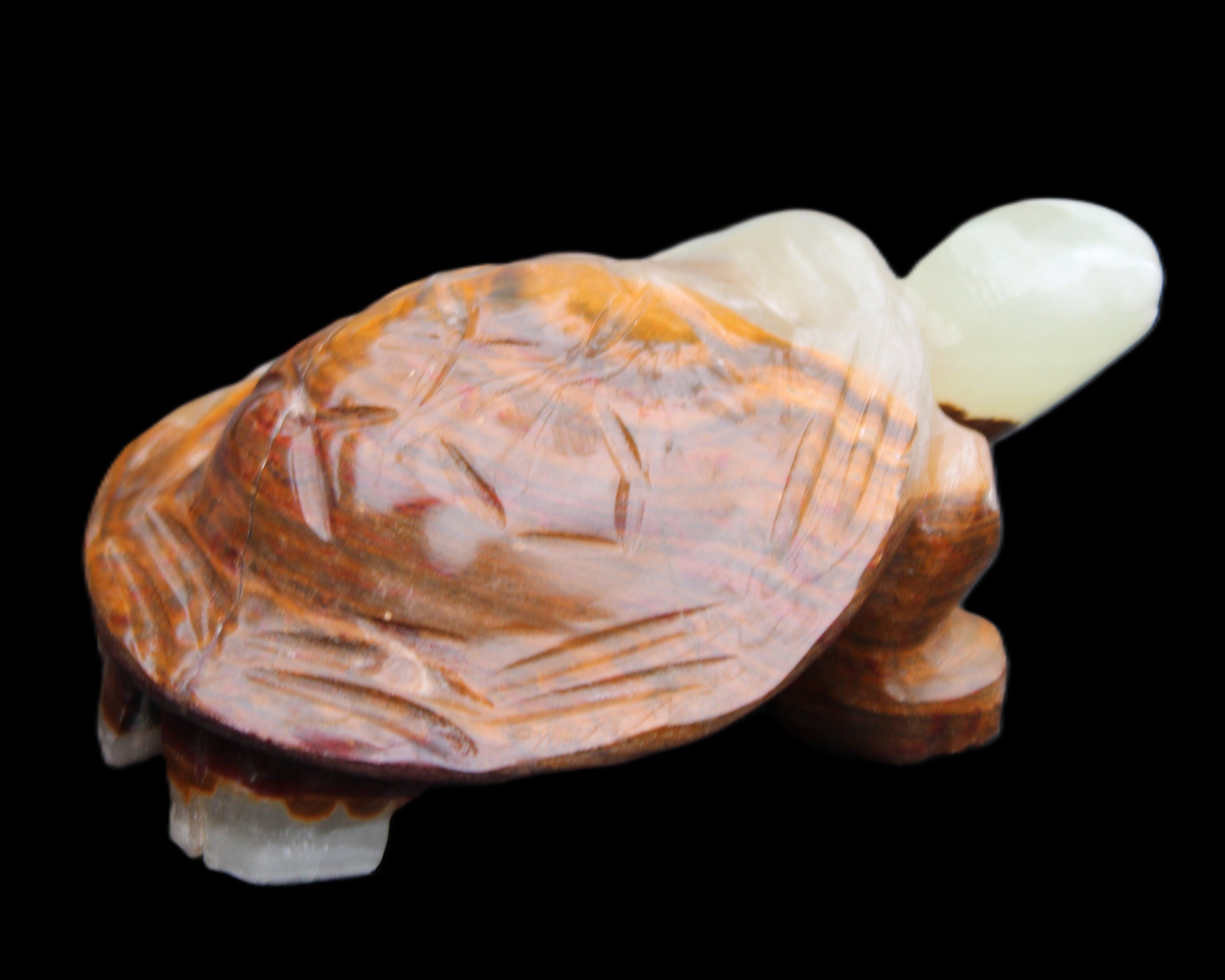 Afghan Jade hand-carved Turtle 107*80*37mm 286g in sunlight - Rocks and Things Store