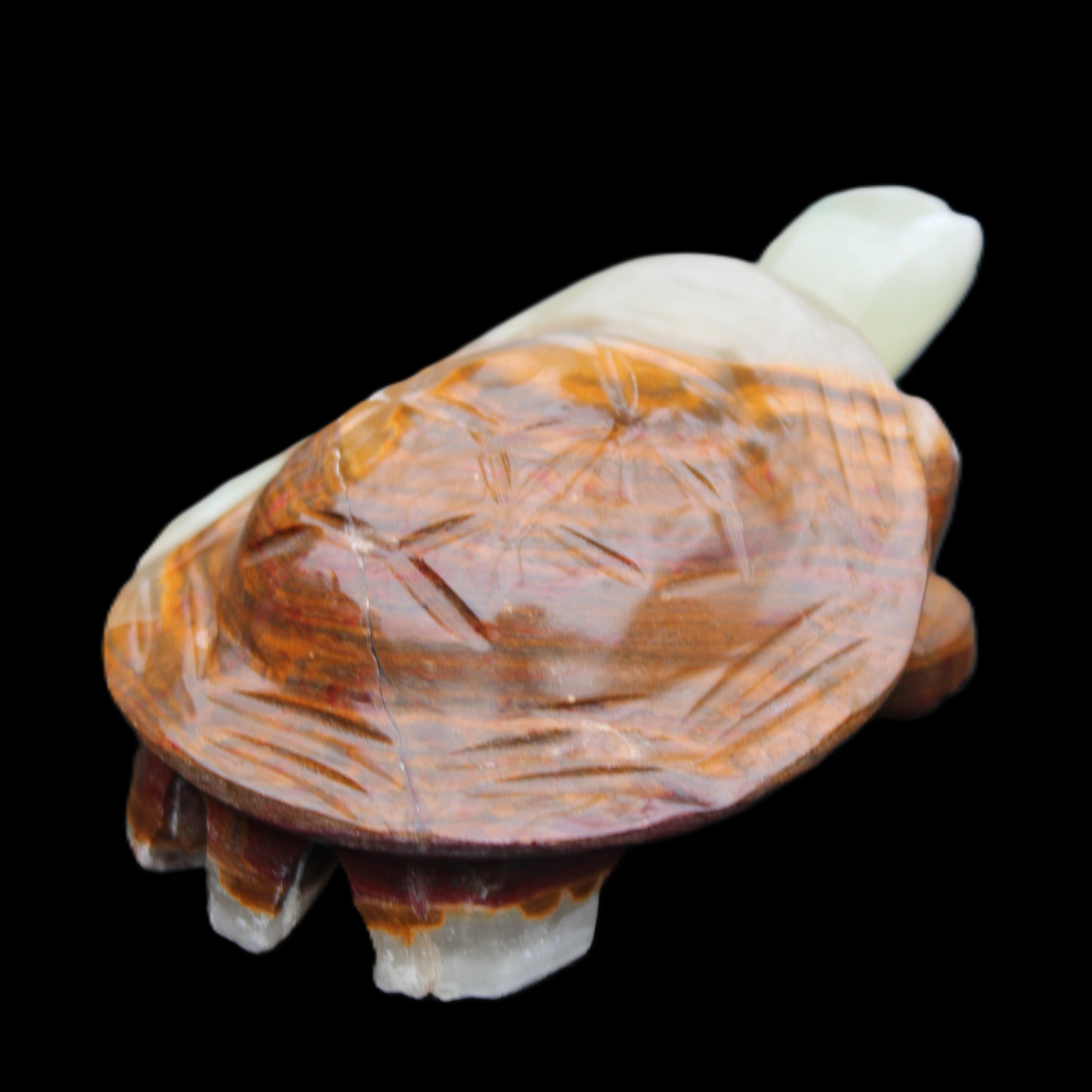 Afghan Jade hand-carved Turtle 107*80*37mm 286g in sunlight - Rocks and Things Store