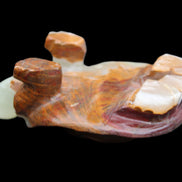 Afghan Jade hand-carved Turtle 107*80*37mm 286g in sunlight - Rocks and Things Store