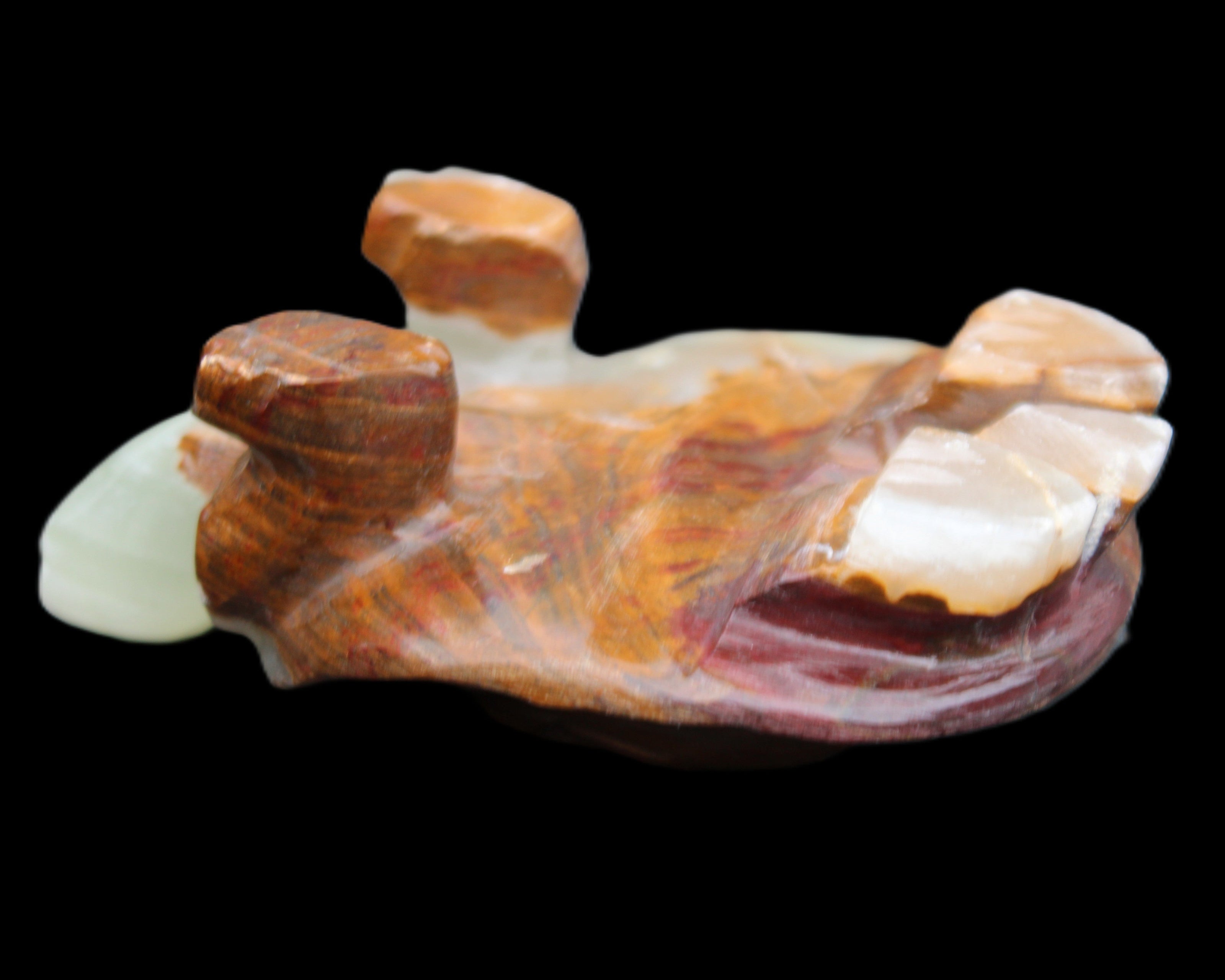 Afghan Jade hand-carved Turtle 107*80*37mm 286g in sunlight - Rocks and Things Store