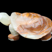 Afghan Jade hand-carved Turtle 107*80*37mm 286g in sunlight - Rocks and Things Store