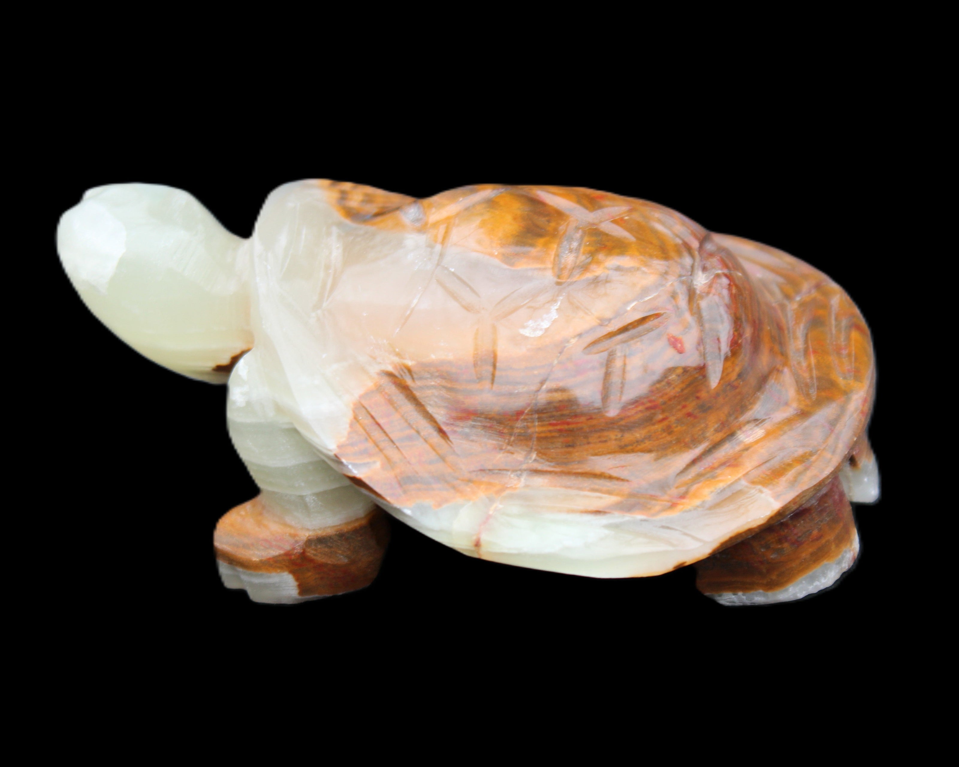 Afghan Jade hand-carved Turtle 107*80*37mm 286g in sunlight - Rocks and Things Store