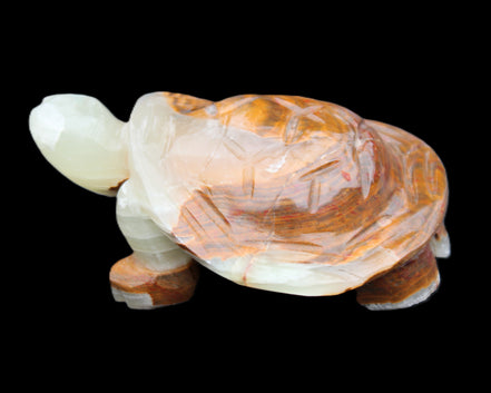 Afghan Jade hand-carved Turtle 107*80*37mm 286g in sunlight - Rocks and Things Store