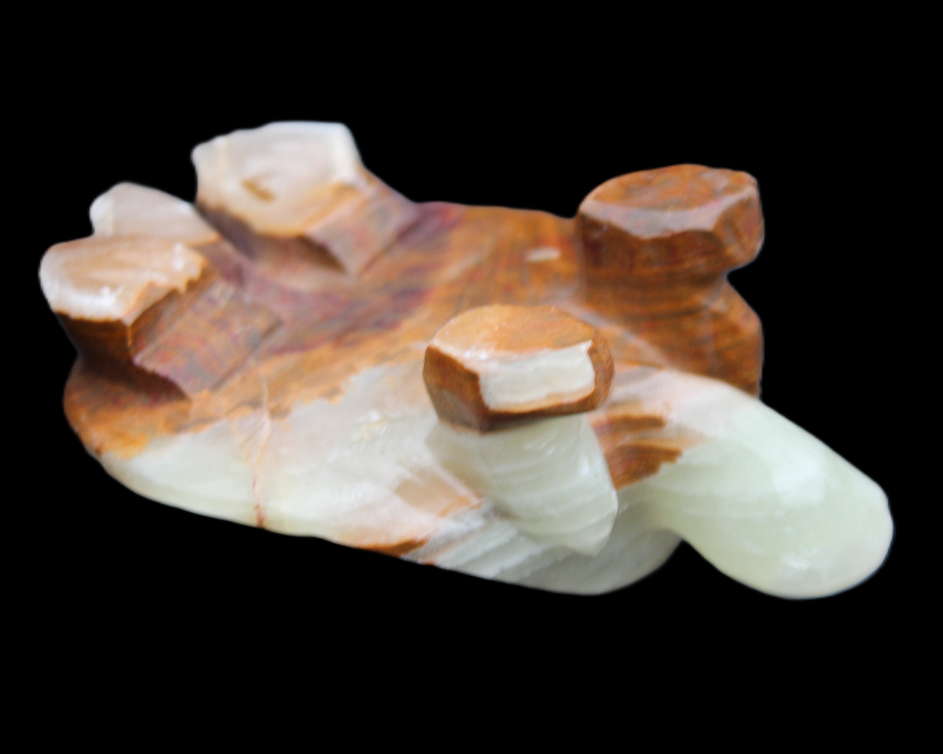 Afghan Jade hand-carved Turtle 107*80*37mm 286g in sunlight - Rocks and Things Store