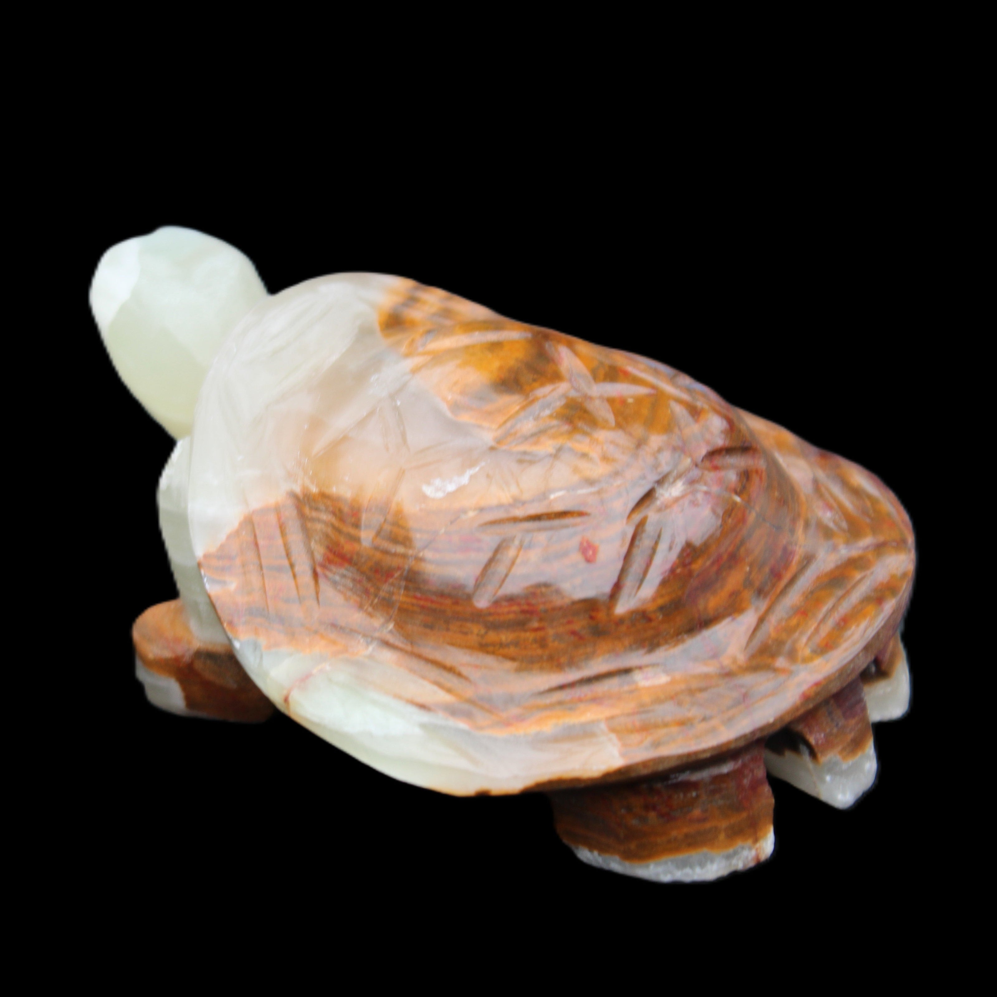 Afghan Jade hand-carved Turtle 107*80*37mm 286g in sunlight - Rocks and Things Store