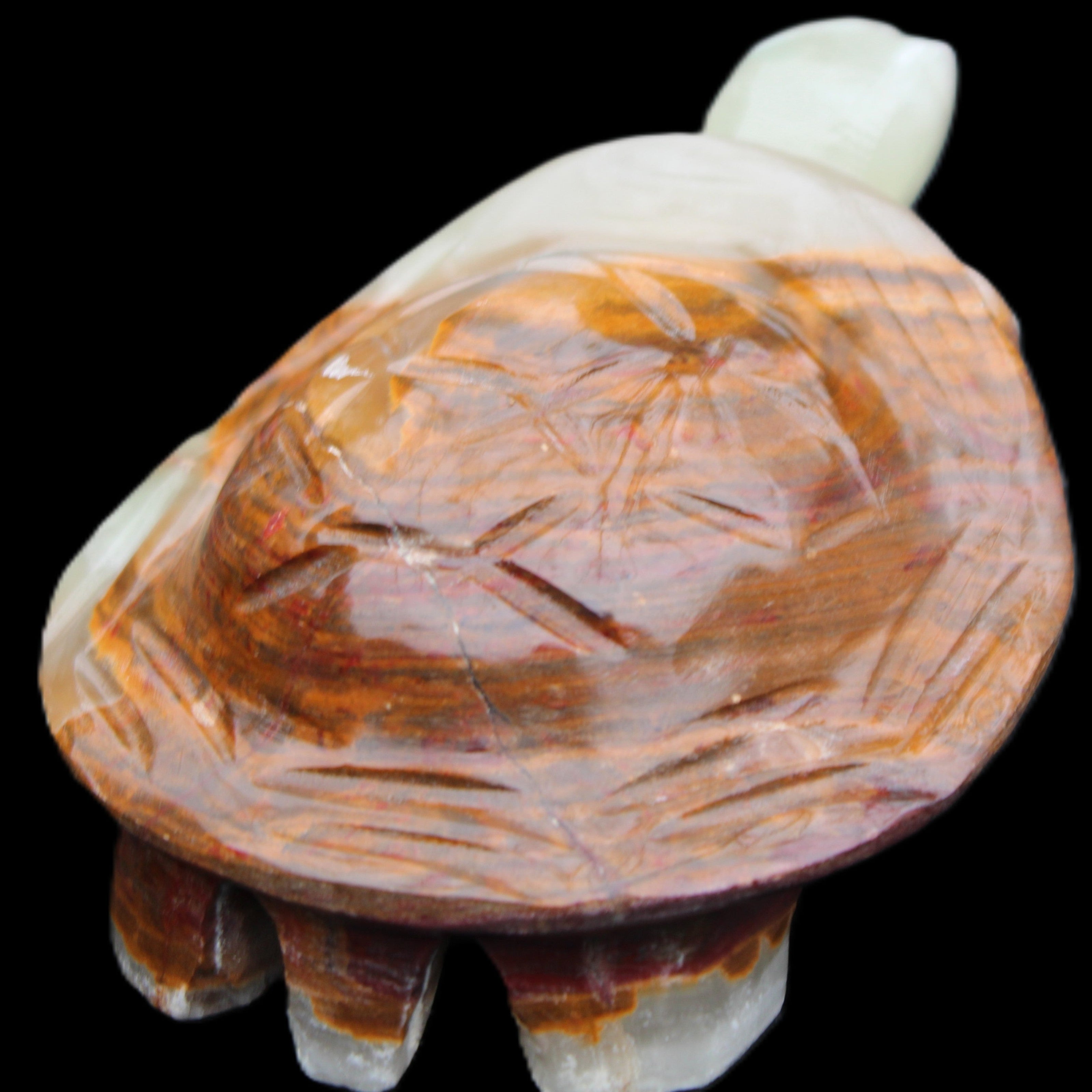Afghan Jade hand-carved Turtle 107*80*37mm 286g in sunlight - Rocks and Things Store
