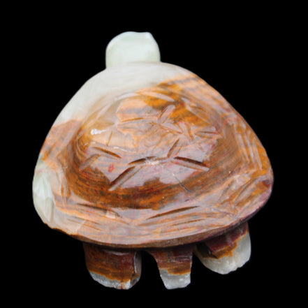 Afghan Jade hand-carved Turtle 107*80*37mm 286g in sunlight - Rocks and Things Store